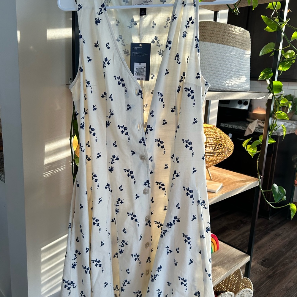 Universal Thread Cream and Blue Floral Mini Dress